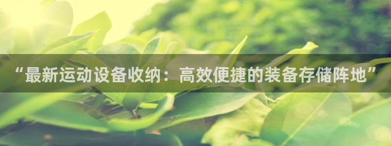 意昂体育4平台：“最新运动设备收纳：高效便捷的装备存储阵地”