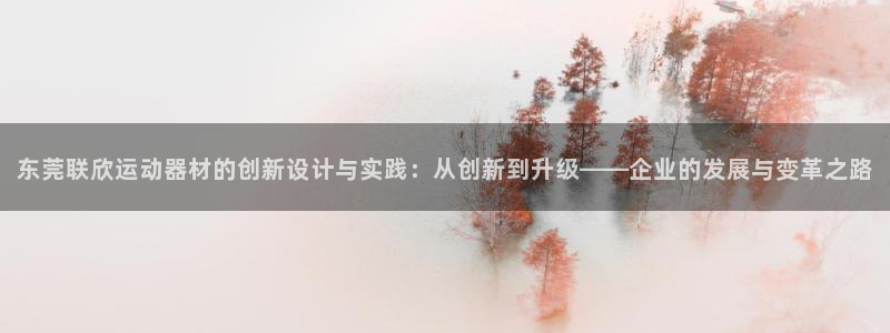 海南意昂体育4：东莞联欣运动器材的创新设计与实践：从