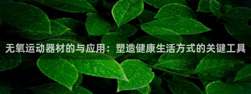 意昂体育4招商电话是多少：无氧运动器材的与应用：塑造