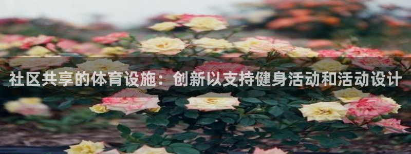 意昂4集团：社区共享的体育设施：创新以支持健身活动和活动设计