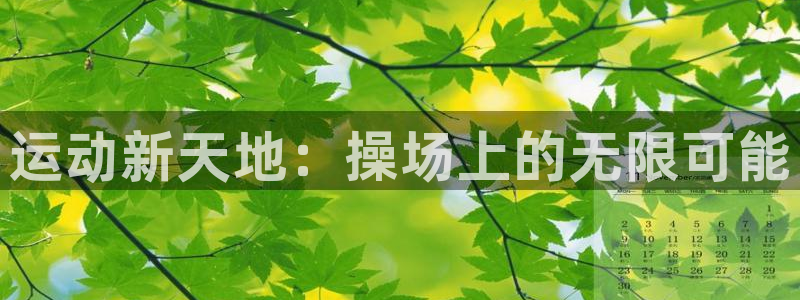 意昂体育4招商电话是多少号码：运动新天地：操场上的无限可能