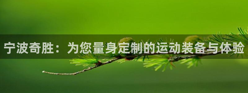 意昂4集团简介
