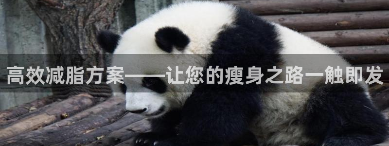 意昂体育4娱乐：高效减脂方案——让您的瘦身之路一触即发