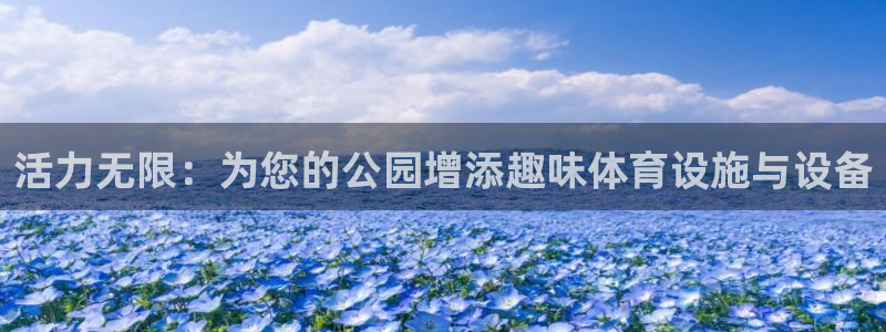 德国意昂4集团：活力无限：为您的公园增添趣味体育设施与设备