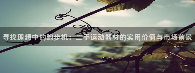 意昂体育4招商电话地址查询：寻找理想中的跑步机：二手运动器材