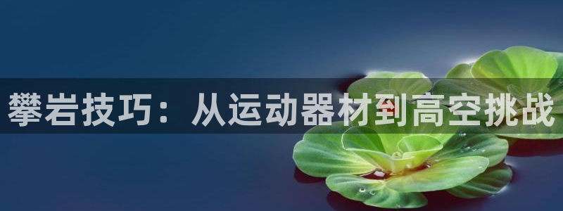 意昂4集团官网网址：攀岩技巧：从运动器材到高空挑战