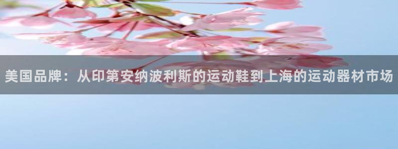 意昂4集团：美国品牌：从印第安纳波利斯的运动鞋到上海的运动器