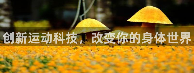 意昂4娱乐是那个系列的台子：创新运动科技，改变你的身体世界