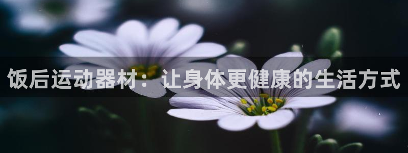 意昂4神州：饭后运动器材：让身体更健康的生活方式