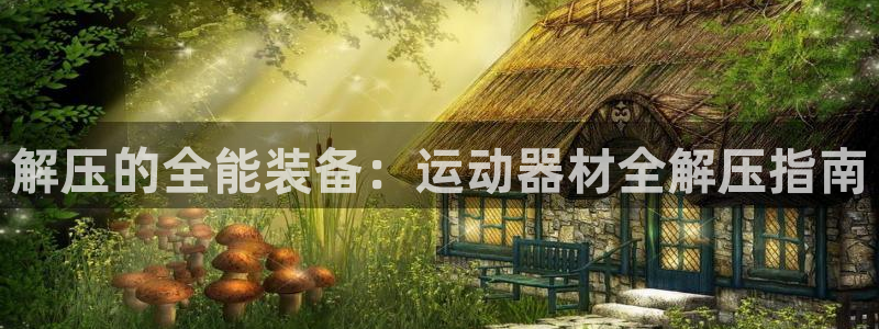 意昂4新能源：解压的全能装备：运动器材全解压指南