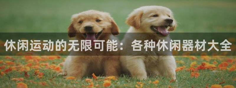 意昂4集团官网首页：休闲运动的无限可能：各种休闲器材