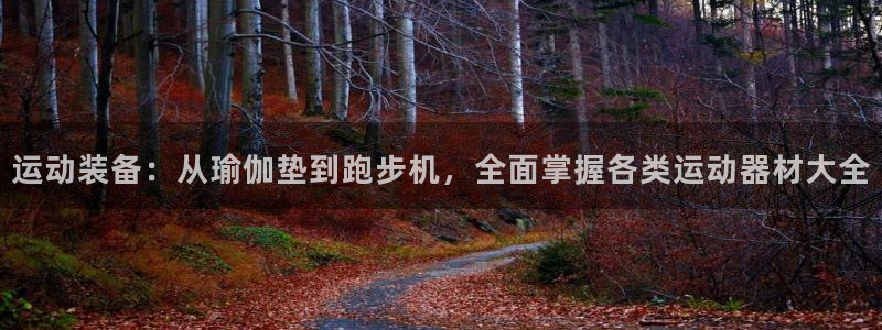 意昂体育4平台是正规平台吗知乎：运动装备：从瑜伽垫到