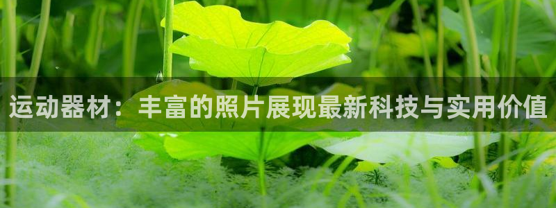 意昂4官方：运动器材：丰富的照片展现最新科技与实用价