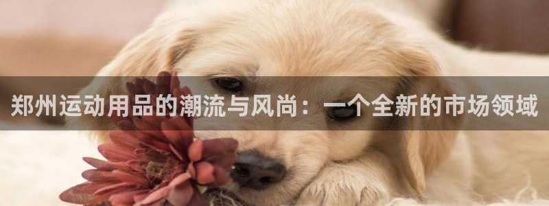 意昂体育4招商电话号码：郑州运动用品的潮流与风尚：一