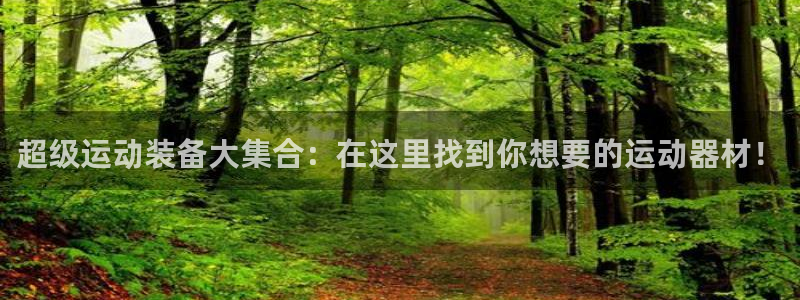 意昂4娱乐首页官网下载：超级运动装备大集合：在这里找
