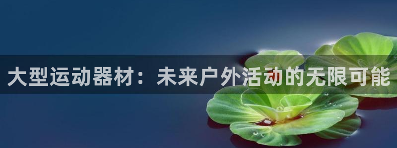 意昂4集团E.ON：大型运动器材：未来户外活动的无限