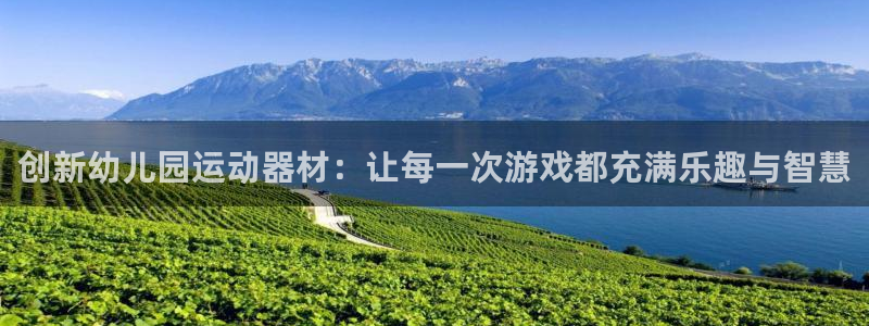 意昂体育4平台APP：创新幼儿园运动器材：让每一次游