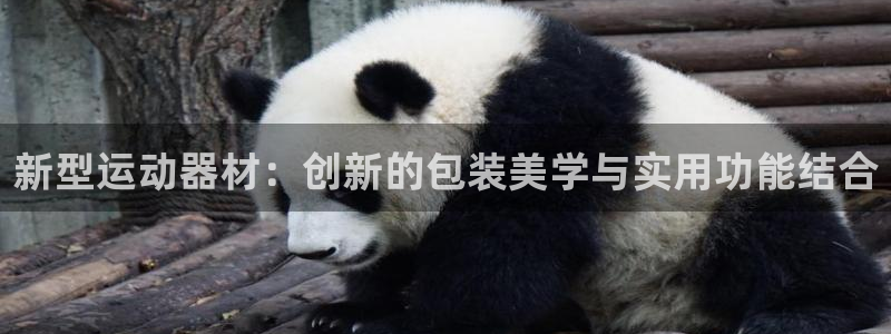 意昂体育4官方客服电话