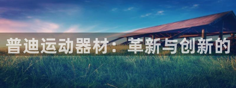 德国意昂4集团：普迪运动器材：革新与创新的
