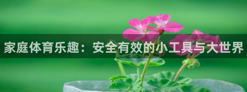 意昂集团官网：家庭体育乐趣：安全有效的小工具与大世界