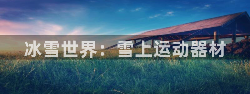 意昂4集团E.ON：冰雪世界：雪上运动器材