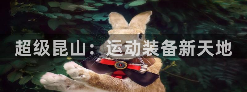 意昂体育4平台是正规平台吗知乎：超级昆山：运动装备新