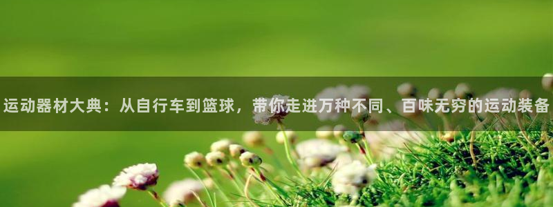 意昂体育4：运动器材大典：从自行车到篮球，带你走进万种不同、