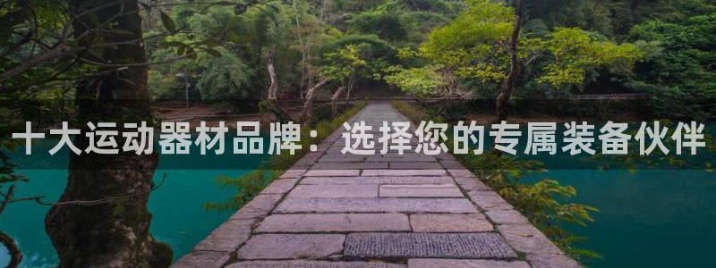 意昂4新能源：十大运动器材品牌：选择您的专属装备伙伴