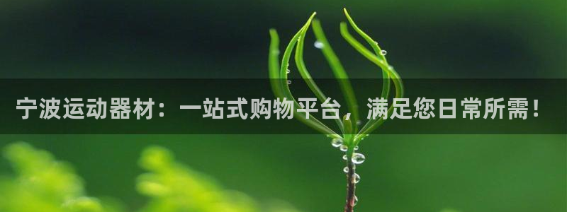 意昂体育4招商电话地址是多少：宁波运动器材：一站式购