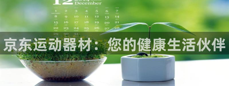 意昂体育4平台是正规平台吗安全吗：京东运动器材：您的