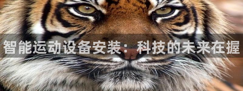 意昂4代理：智能运动设备安装：科技的未来在握