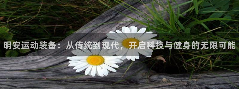 意昂4新能源：明安运动装备：从传统到现代，开启科技与