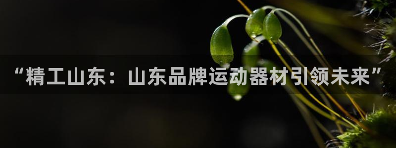 意昂4娱乐网站：“精工山东：山东品牌运动器材引领未来
