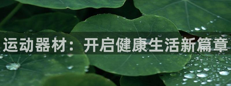 意昂体育4招商电话是多少号码：运动器材：开启健康生活