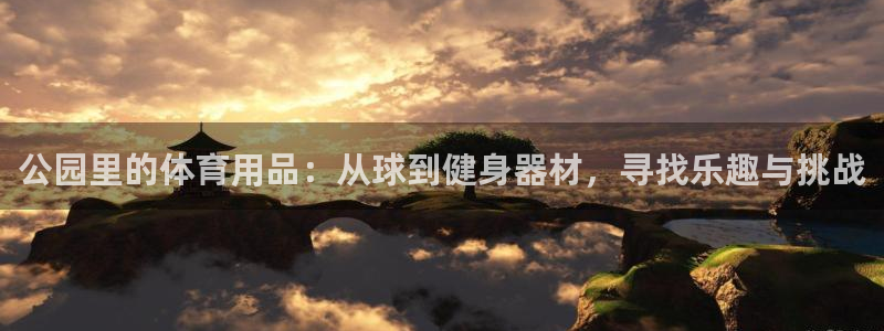 意昂体育4招商电话地址是多少：公园里的体育用品：从球