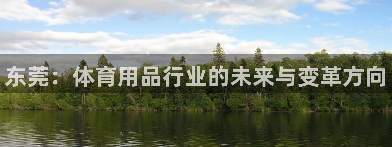 意昂4官网：东莞：体育用品行业的未来与变革方向