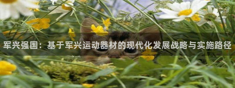 意昂体育4是干嘛的公司：军兴强国：基于军兴运动器材的