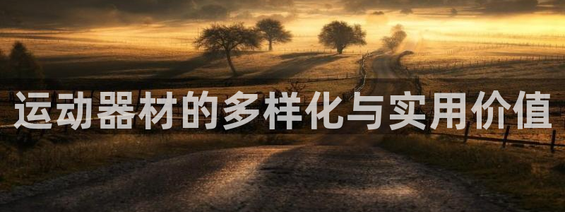 海南意昂体育4：运动器材的多样化与实用价值