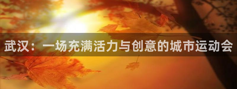 意昂体育4招商电话号码查询是多少：武汉：一场充满活力