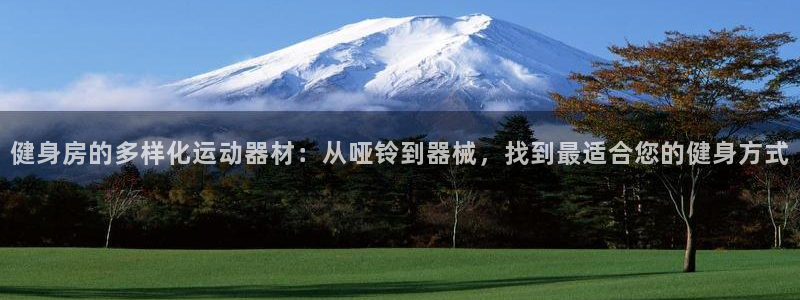 意昂平台体育：健身房的多样化运动器材：从哑铃到器械，