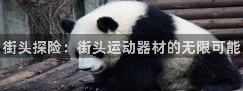 意昂4代理：街头探险：街头运动器材的无限可能