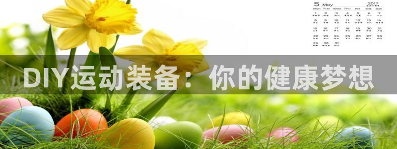 意昂4新能源：DIY运动装备：你的健康梦想