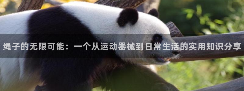 意昂4集团E.ON：绳子的无限可能：一个从运动器械到