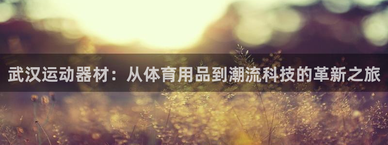 意昂体育4平台注册：武汉运动器材：从体育用品到潮流科