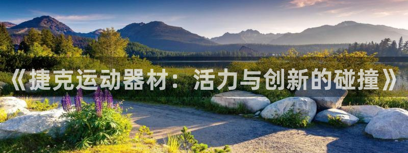 意昂体育4官方客服电话：《捷克运动器材：活力与创新的