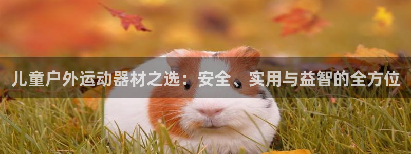 意昂体育4娱乐：儿童户外运动器材之选：安全、实用与益