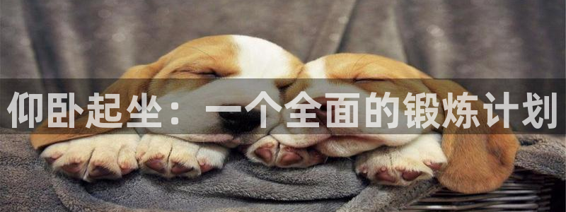 意昂4娱乐40996：仰卧起坐：一个全面的锻炼计划