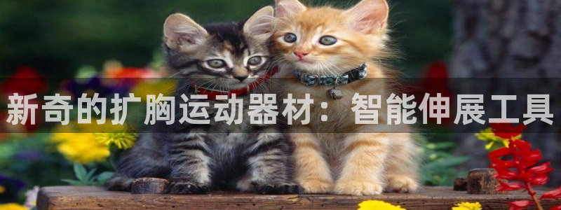 德国意昂4集团：新奇的扩胸运动器材：智能伸展工具