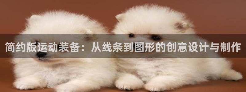 意昂体育4招商：简约版运动装备：从线条到图形的创意设