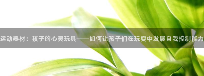 意昂体育4注册：运动器材：孩子的心灵玩具——如何让孩